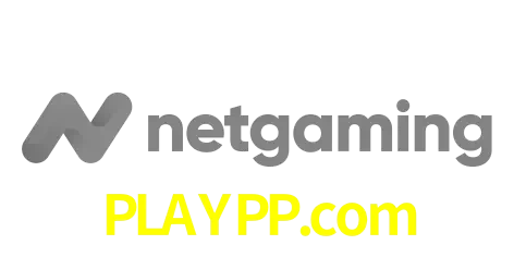 NetGaming